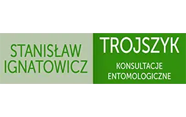 Tytuł