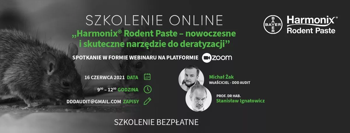 szkolenie online